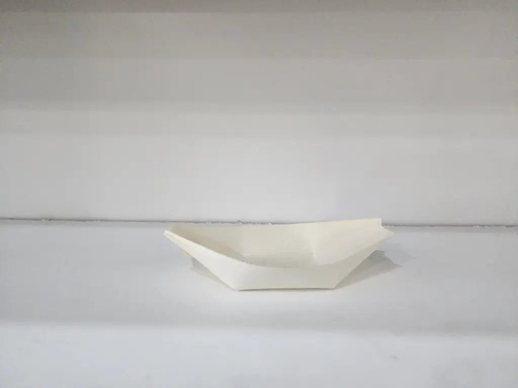 Bamboo to-go boat-20pcs