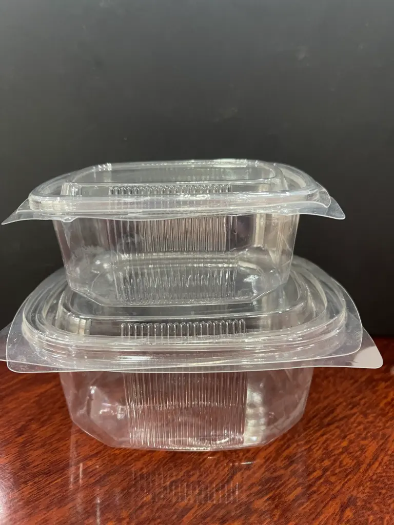 oval Clamshell  - 50 pcs