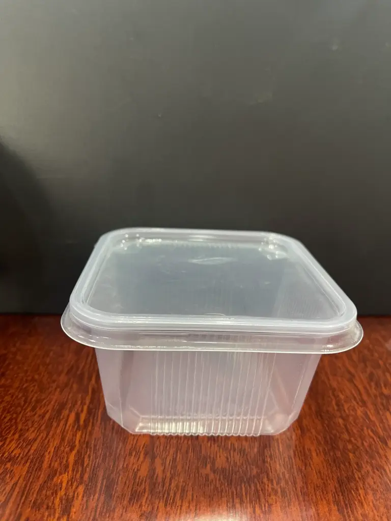 plastic square container -50pcs