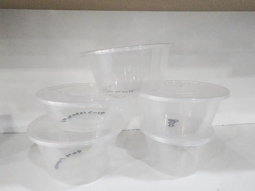 PP Plastic Soup Container with Lid - 50 pcs