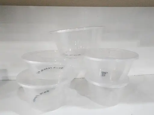 PP Plastic Soup Container with Lid - 50 pcs