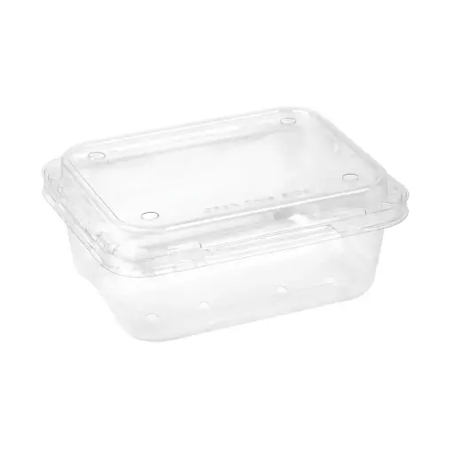 Plastic Berry Clamshell with Holes - 50 pcs