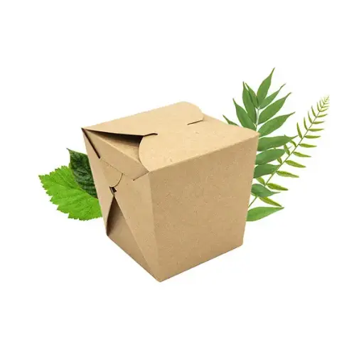 Kraft noodle box - 50 pcs
