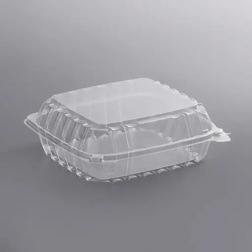 Clear Seal Hinged Lid Plastic Container - 100 pcs